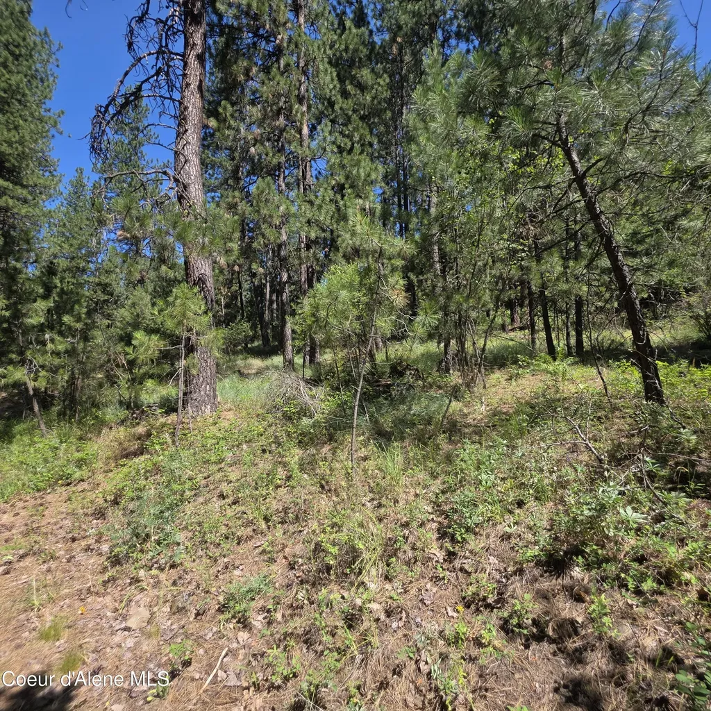 Nna S Prospect Avenue Harrison ID 83833