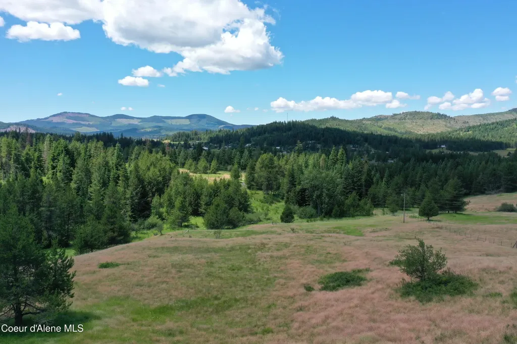 Parcel 500 Owl Creek Lane Emida ID 83861