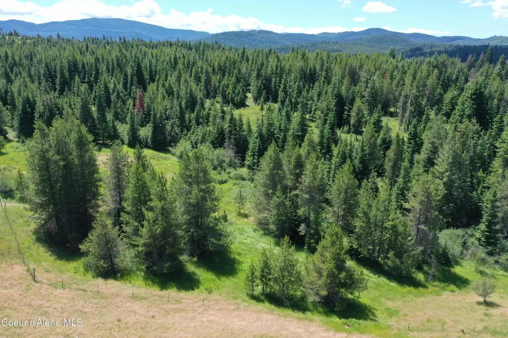 Parcel 500 Owl Creek Lane Emida ID 83861
