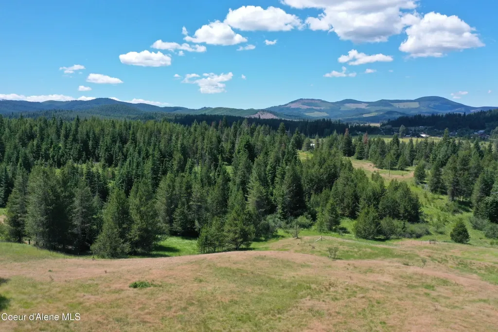 Parcel 500 Owl Creek Lane Emida ID 83861