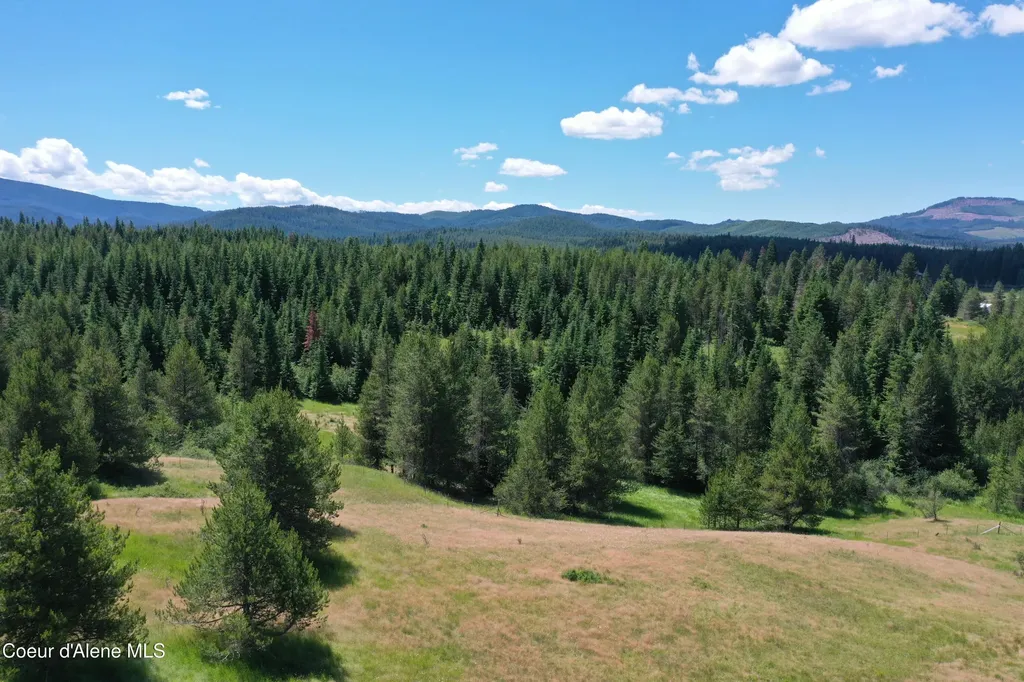 Parcel 500 Owl Creek Lane Emida ID 83861