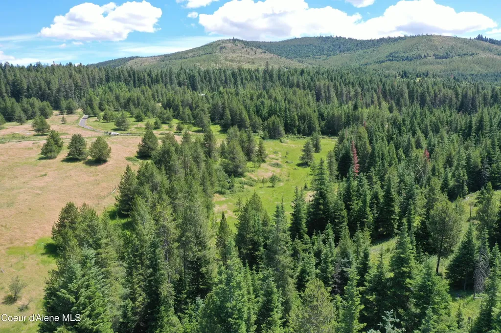 Parcel 500 Owl Creek Lane Emida ID 83861
