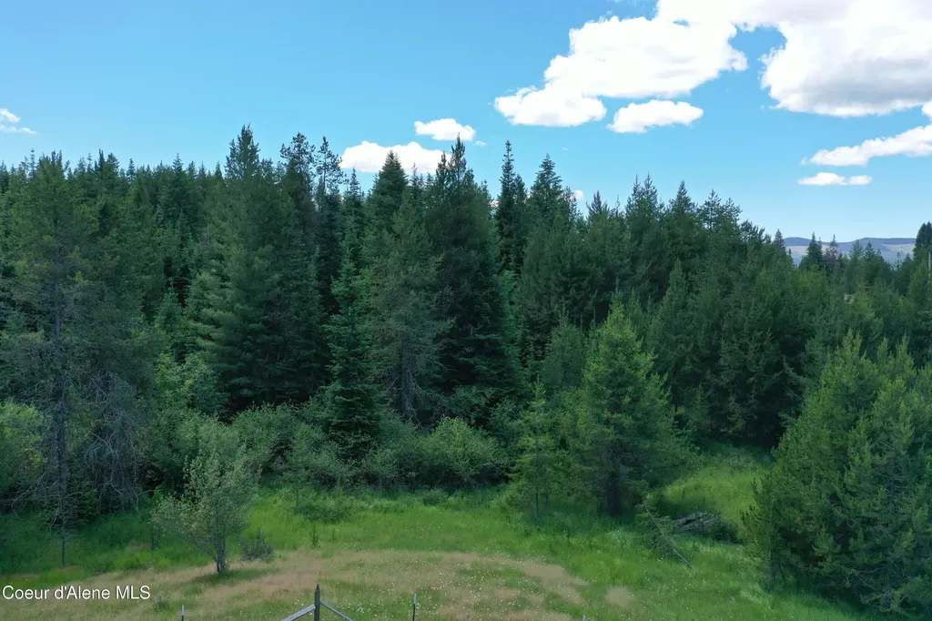 Parcel 500 Owl Creek Lane Emida ID 83861