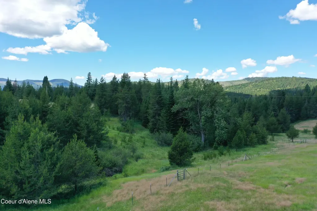 Parcel 500 Owl Creek Lane Emida ID 83861