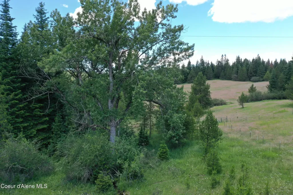 Parcel 500 Owl Creek Lane Emida ID 83861