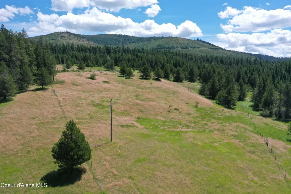 Parcel 500 Owl Creek Lane Emida ID 83861