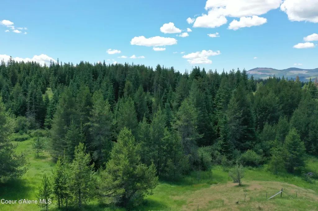 Parcel 500 Owl Creek Lane Emida ID 83861