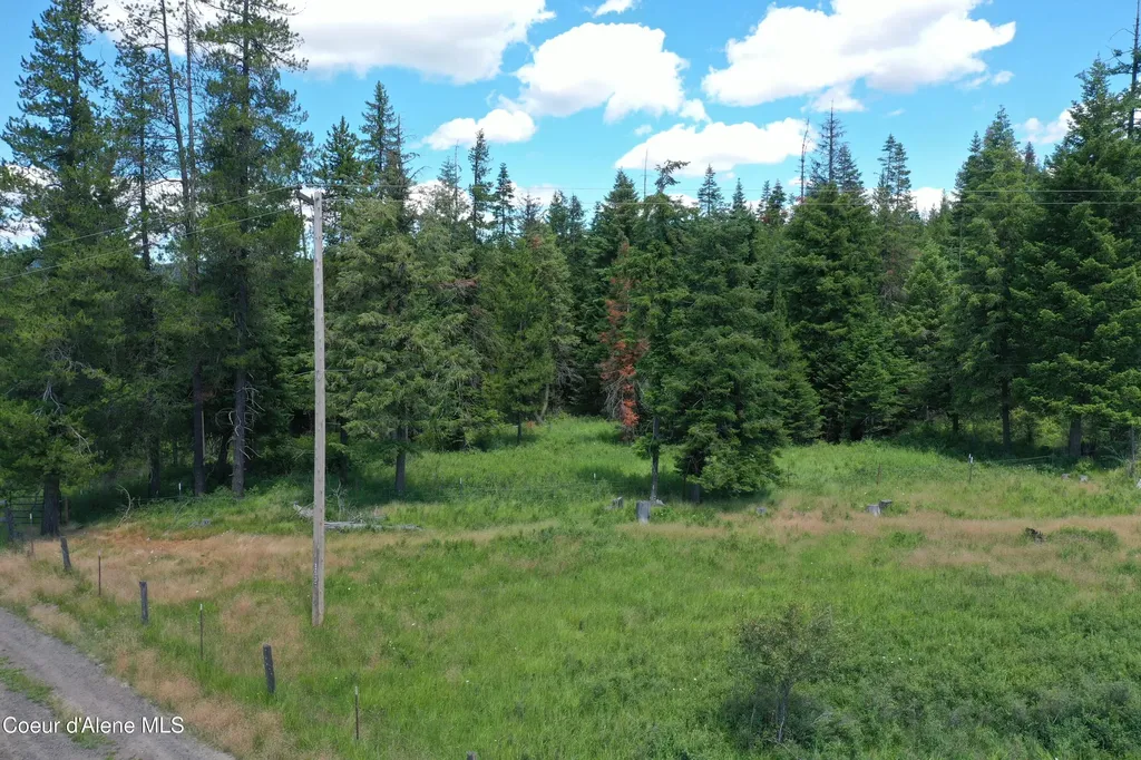 Parcel 500 Owl Creek Lane Emida ID 83861