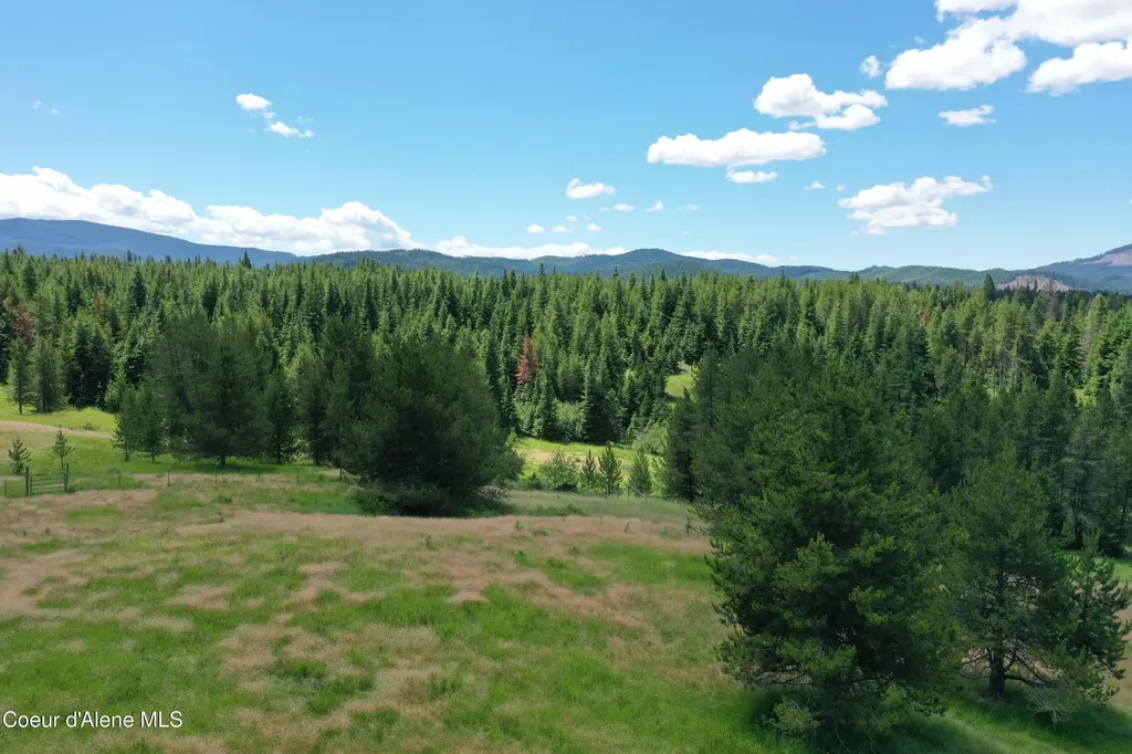 Parcel 500 Owl Creek Lane Emida ID 83861