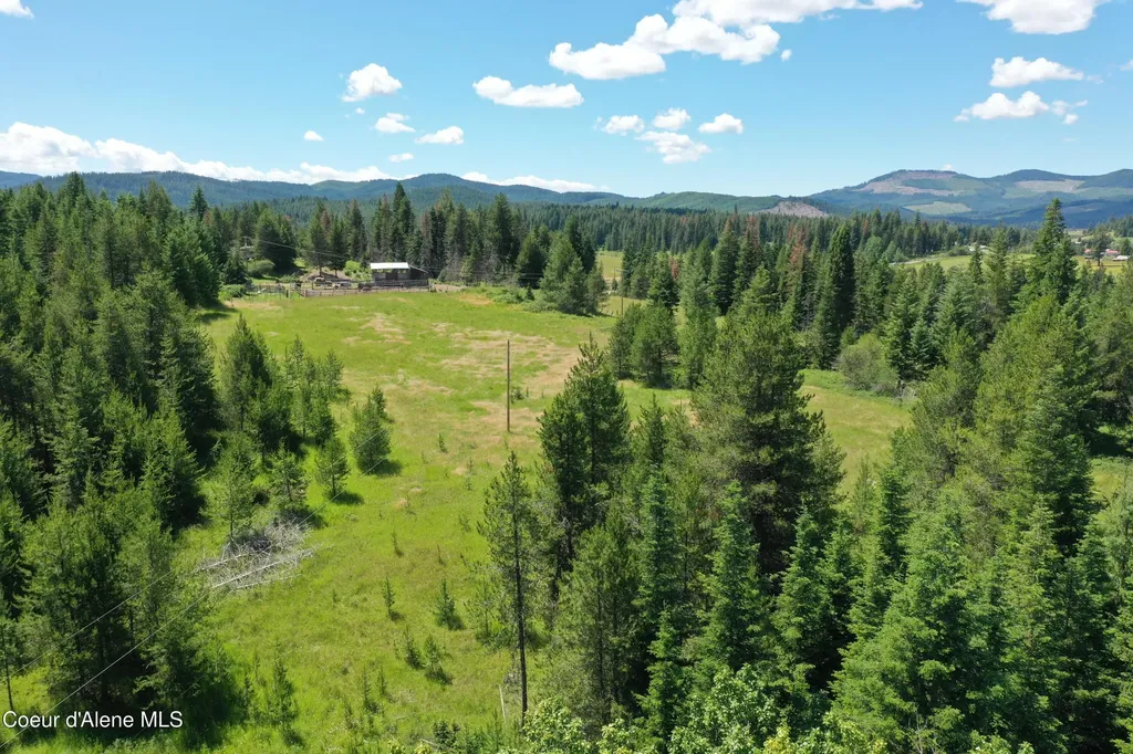 Parcel 500 Owl Creek Lane Emida ID 83861