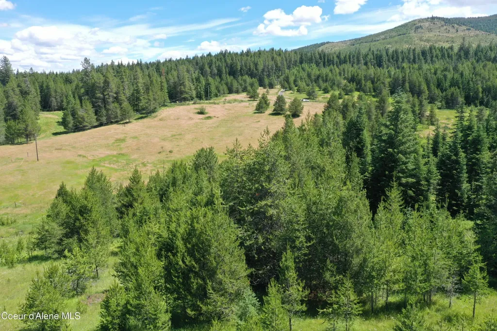 Parcel 500 Owl Creek Lane Emida ID 83861