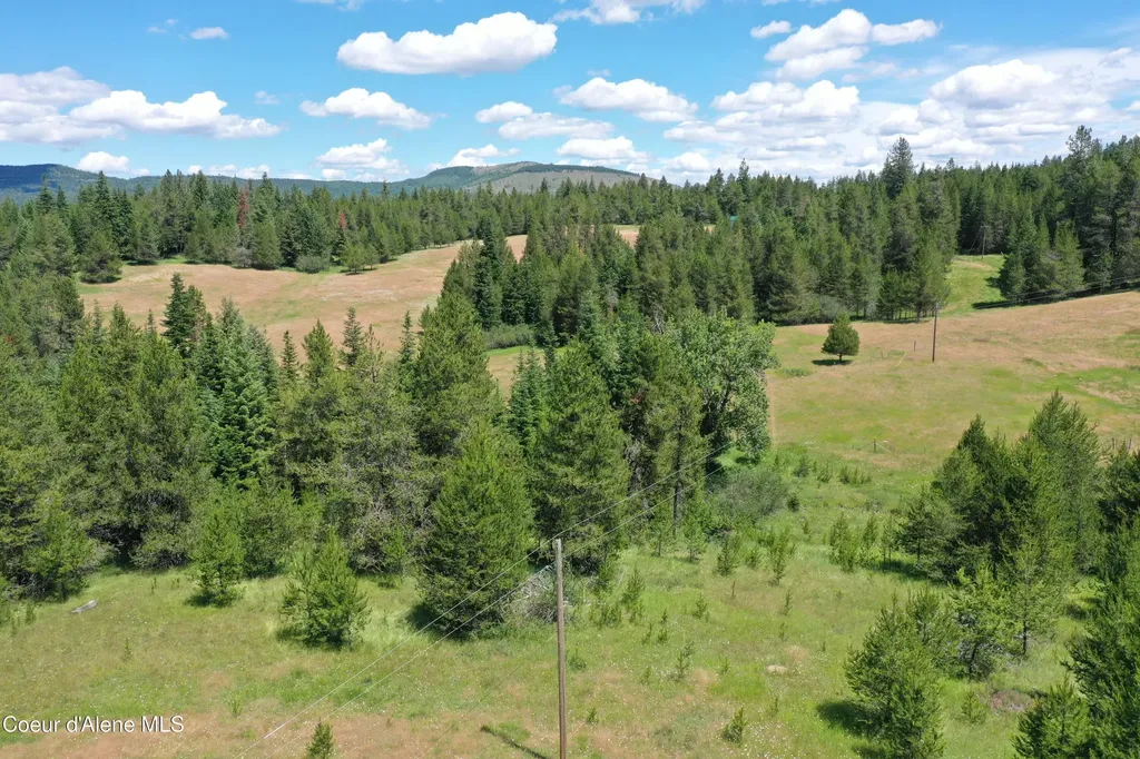 Parcel 500 Owl Creek Lane Emida ID 83861