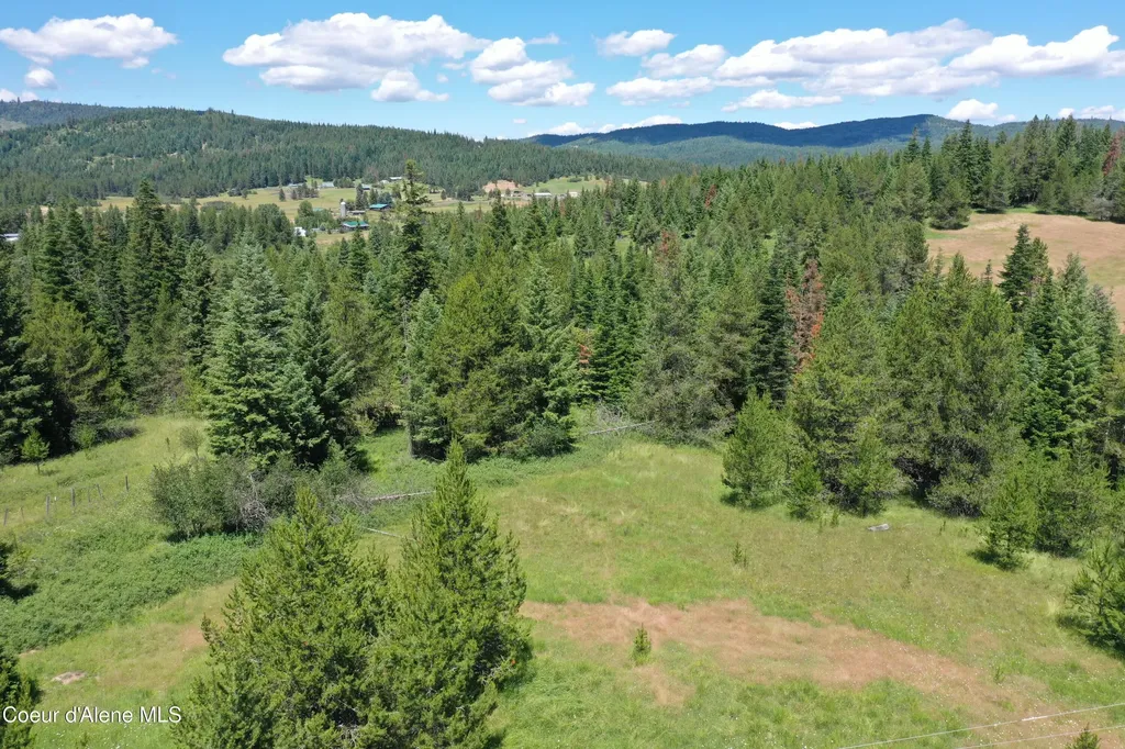 Parcel 500 Owl Creek Lane Emida ID 83861