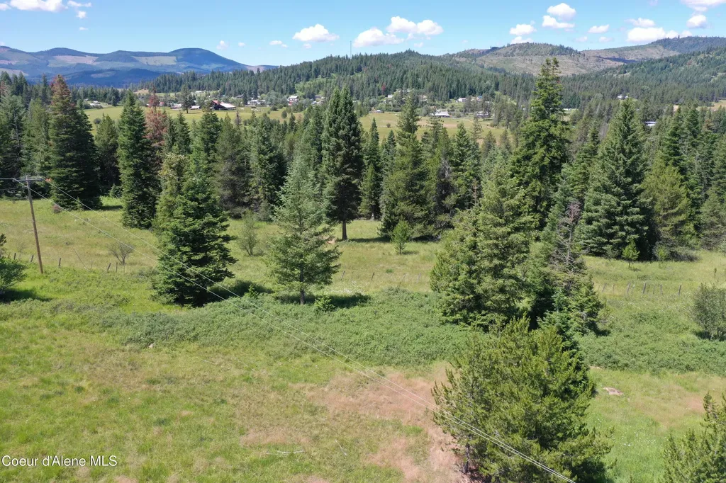 Parcel 500 Owl Creek Lane Emida ID 83861