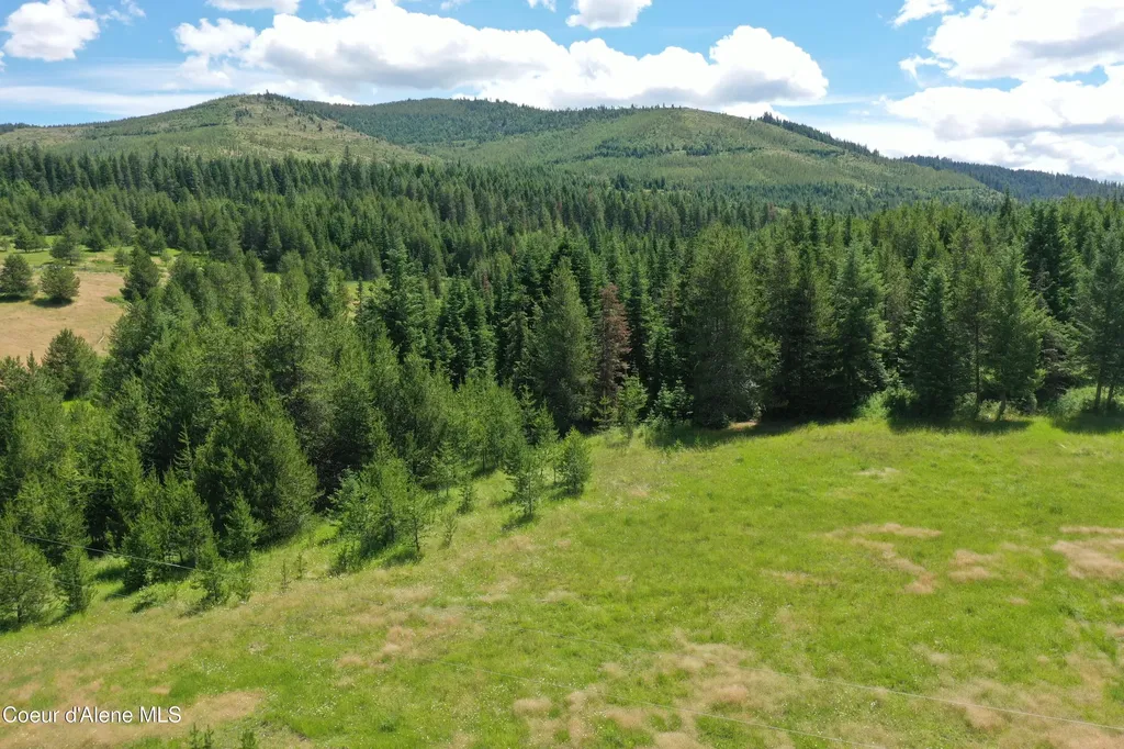 Parcel 500 Owl Creek Lane Emida ID 83861