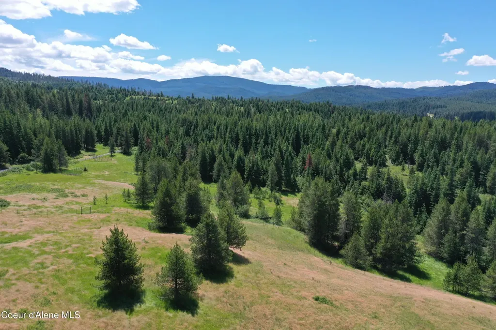 Parcel 500 Owl Creek Lane Emida ID 83861