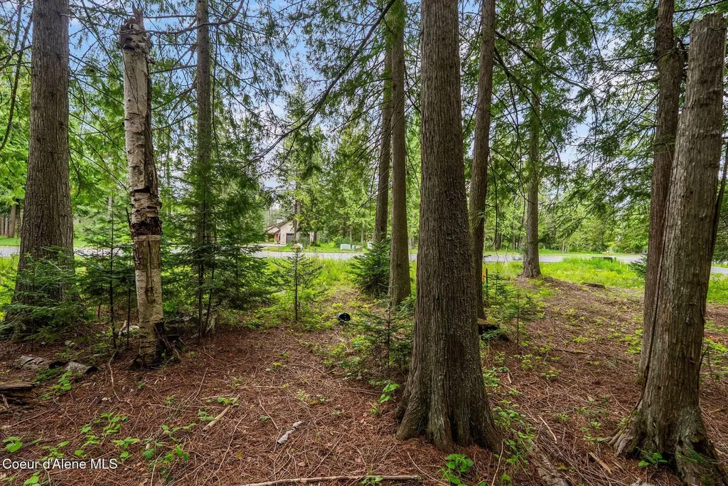 Lot 19 Ames Way Dover ID 83825