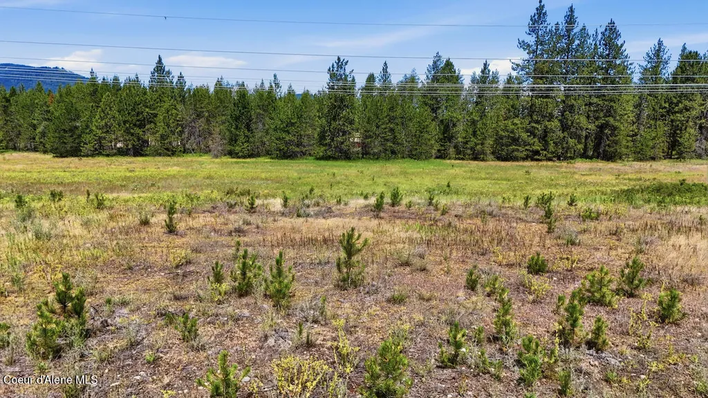 44XX Flatwoods Loop Rathdrum ID 83858