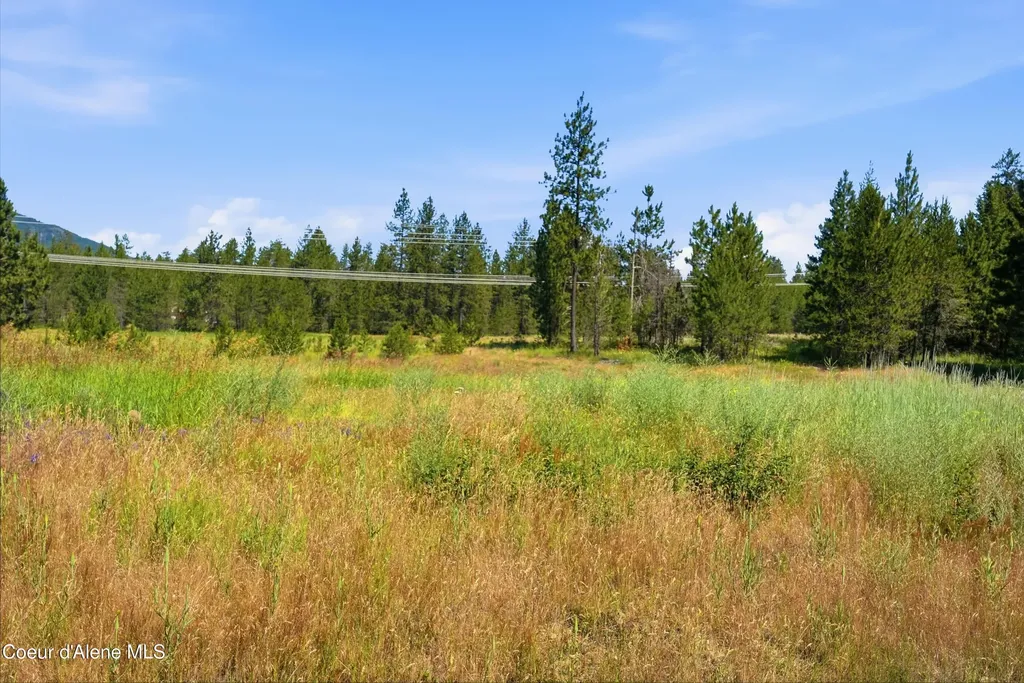 44XX Flatwoods Loop Rathdrum ID 83858