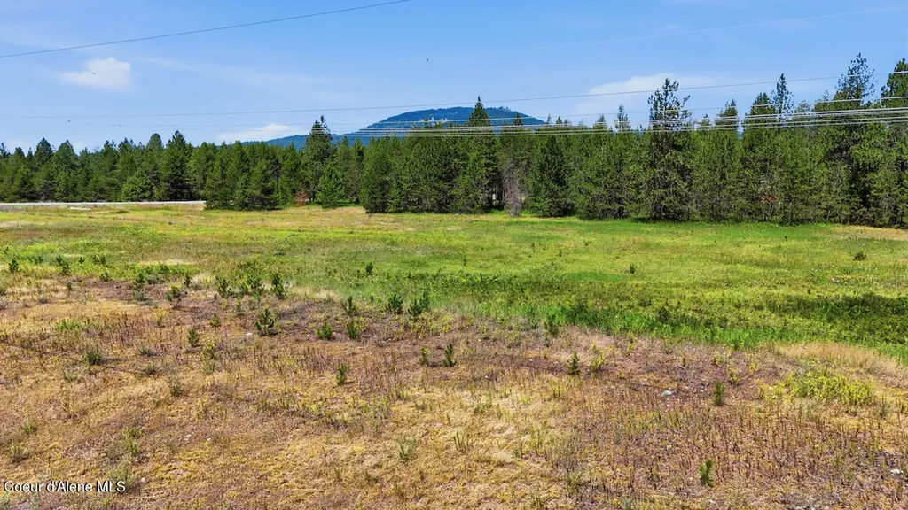 44XX Flatwoods Loop Rathdrum ID 83858