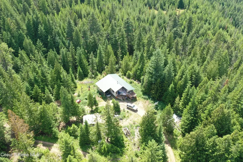 2319 Thorn Creek Road St. Maries ID 83861