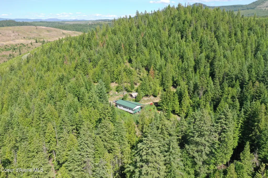 2319 Thorn Creek Road St. Maries ID 83861