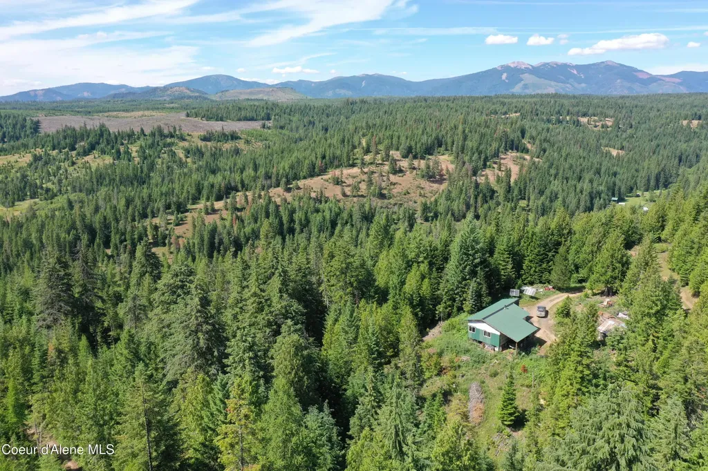 2319 Thorn Creek Road St. Maries ID 83861