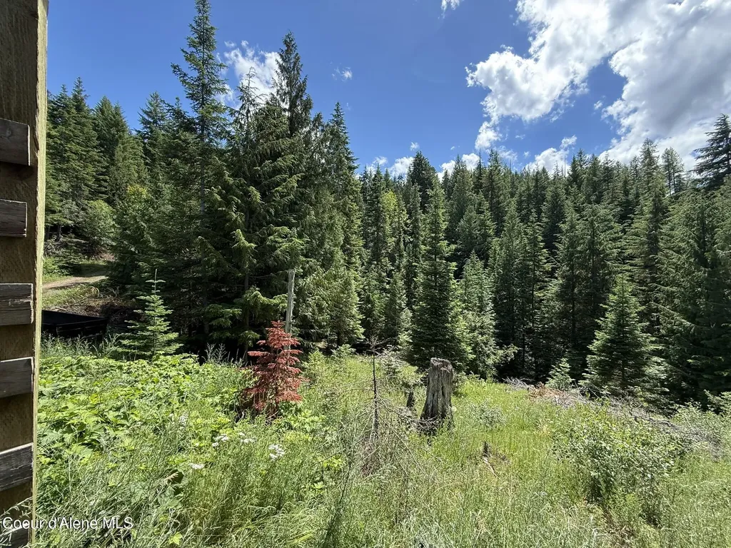 2319 Thorn Creek Road St. Maries ID 83861