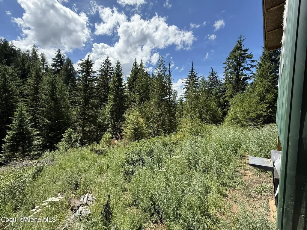 2319 Thorn Creek Road St. Maries ID 83861