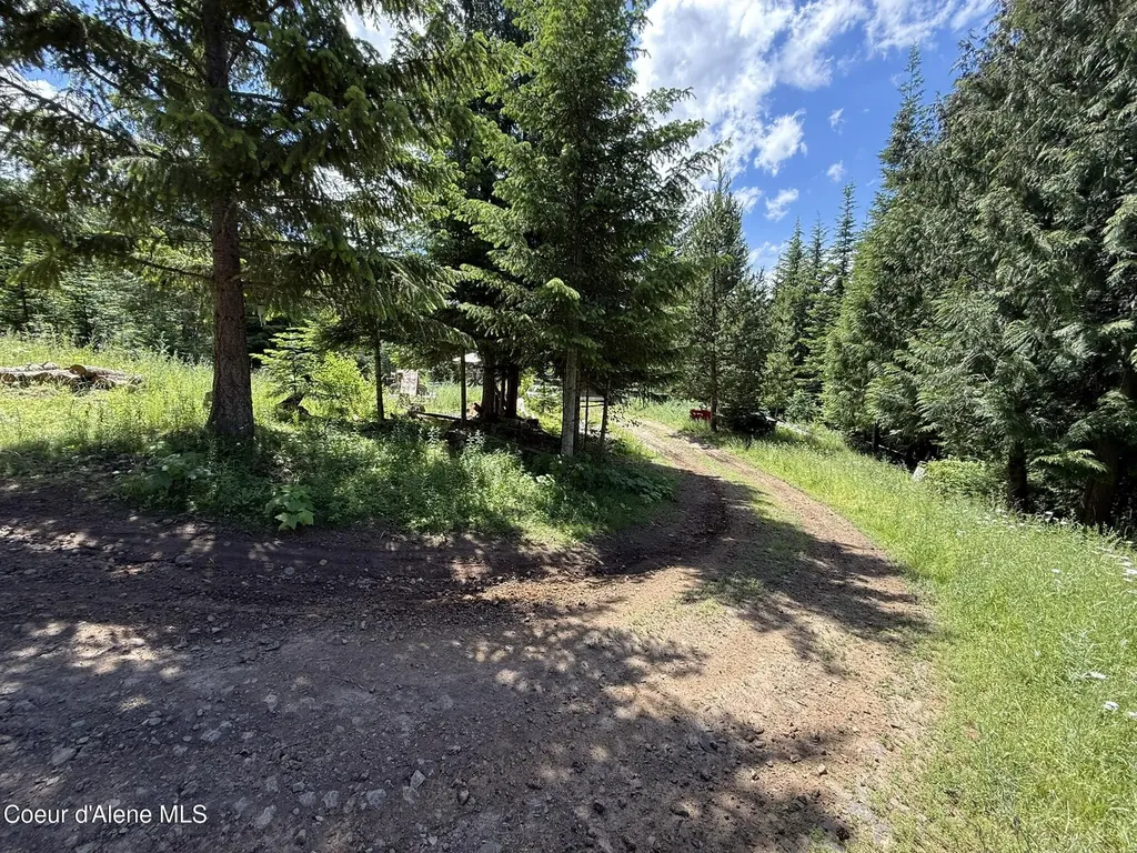 2319 Thorn Creek Road St. Maries ID 83861