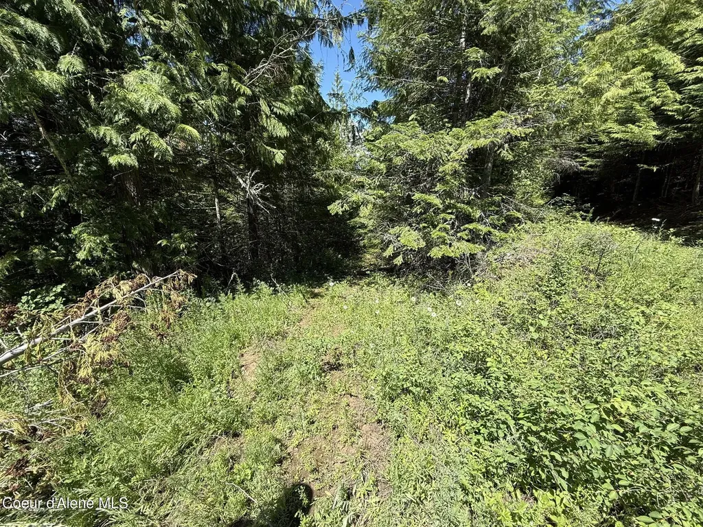 2319 Thorn Creek Road St. Maries ID 83861