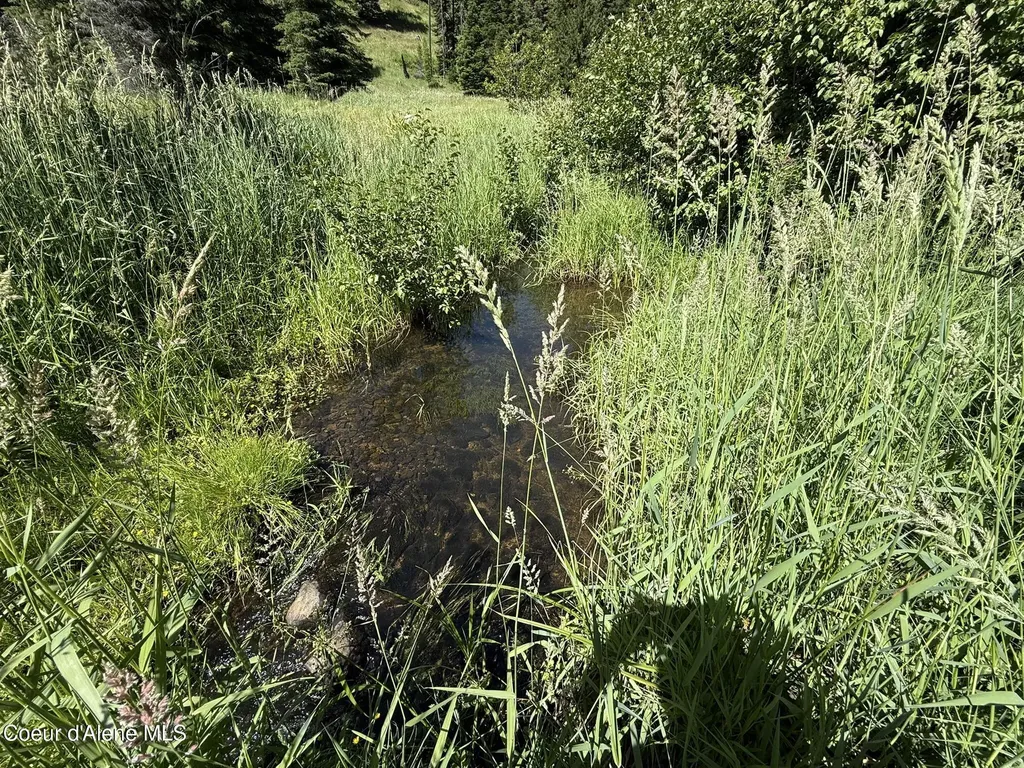 2319 Thorn Creek Road St. Maries ID 83861
