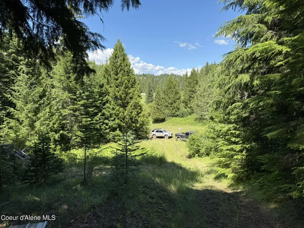2319 Thorn Creek Road St. Maries ID 83861