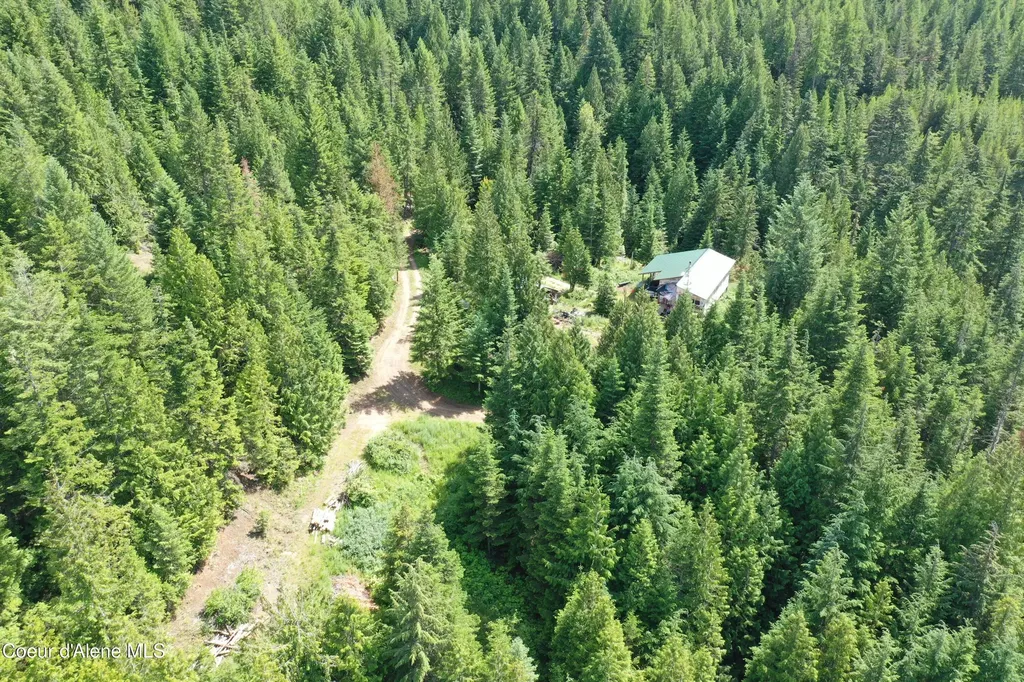 2319 Thorn Creek Road St. Maries ID 83861