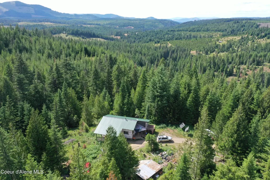 2319 Thorn Creek Road St. Maries ID 83861