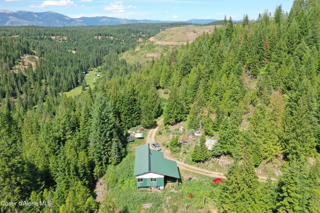 2319 Thorn Creek Road St. Maries ID 83861