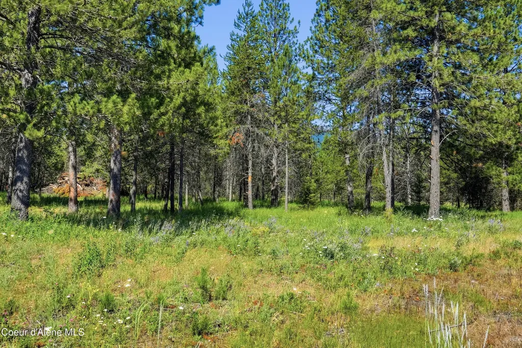 43XX Flatwoods Loop Rathdrum ID 83858