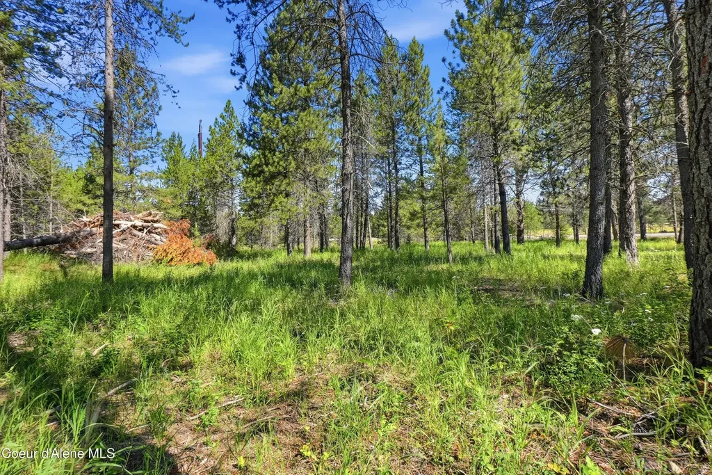 43XX Flatwoods Loop Rathdrum ID 83858