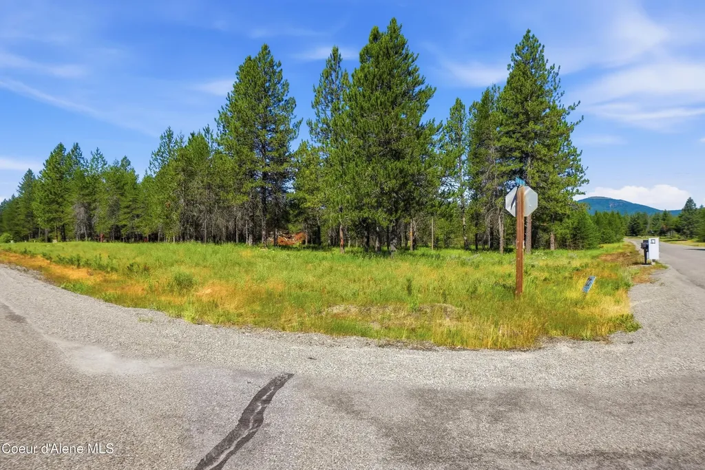 43XX Flatwoods Loop Rathdrum ID 83858