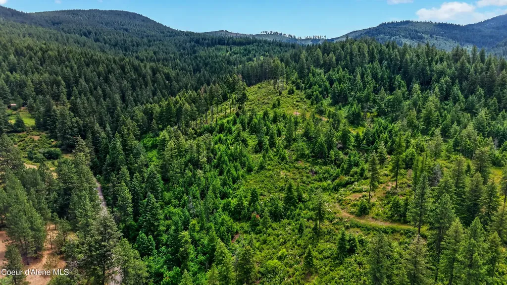 3343 S Carpenter Loop Post Falls ID 83854