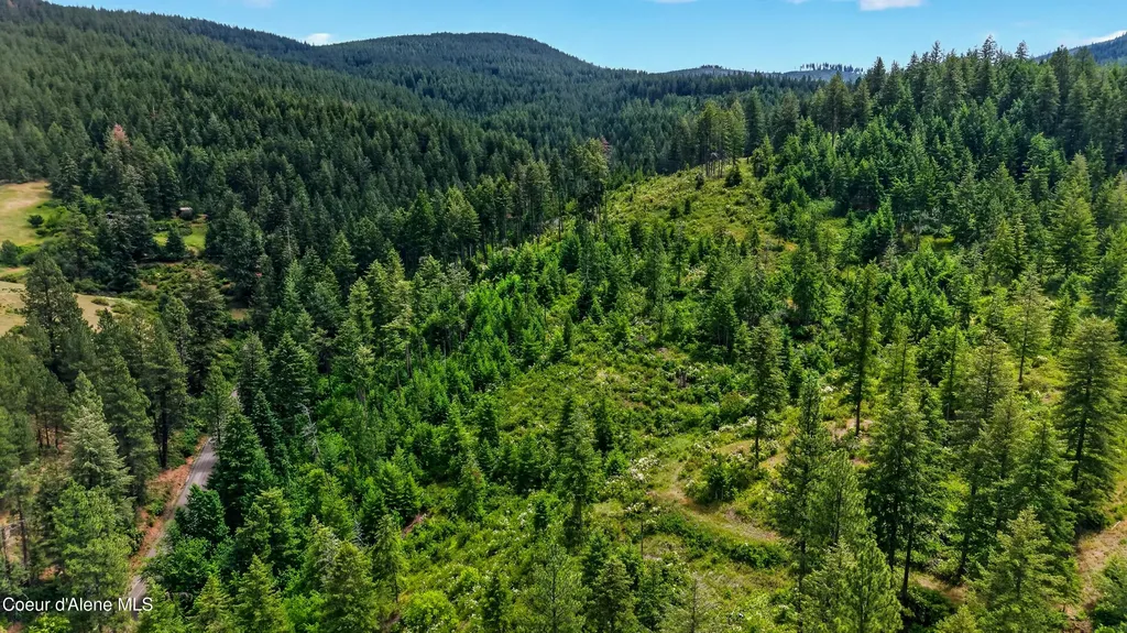 3343 S Carpenter Loop Post Falls ID 83854