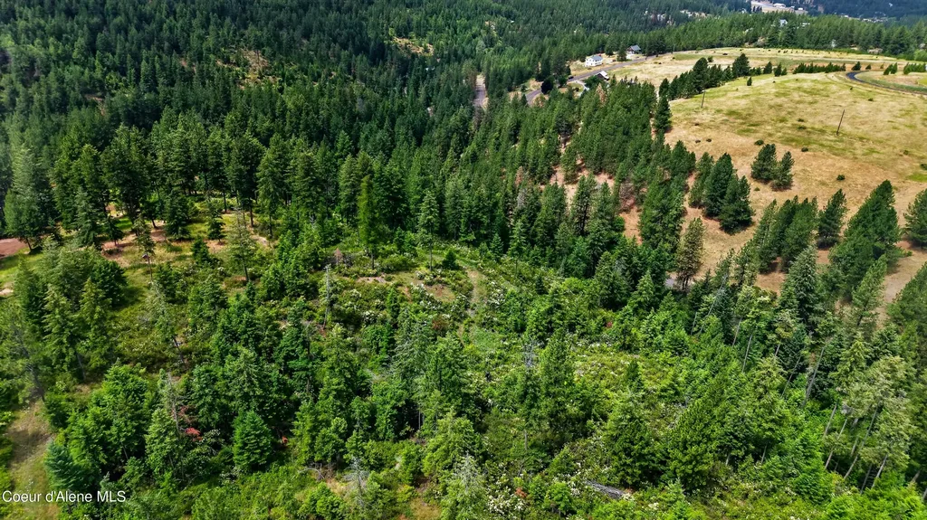3343 S Carpenter Loop Post Falls ID 83854