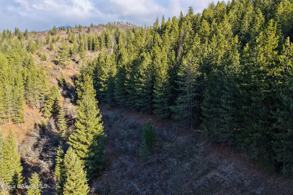 Nna Italian Gulch Kellogg ID 83837