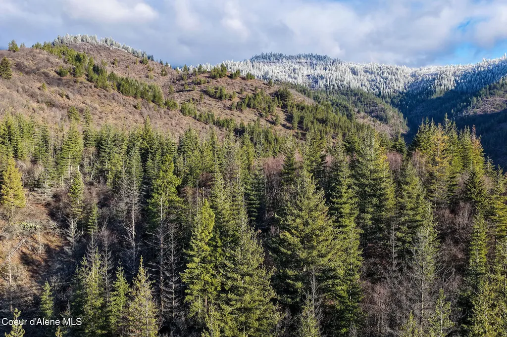 Nna Italian Gulch Kellogg ID 83837
