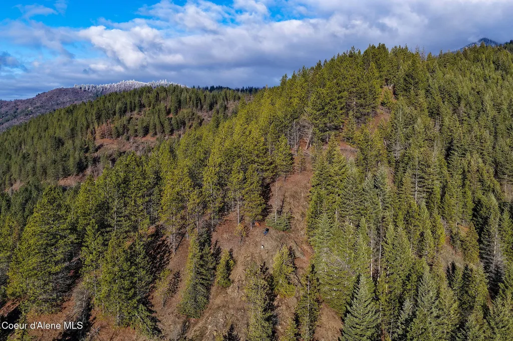 Nna Italian Gulch Kellogg ID 83837