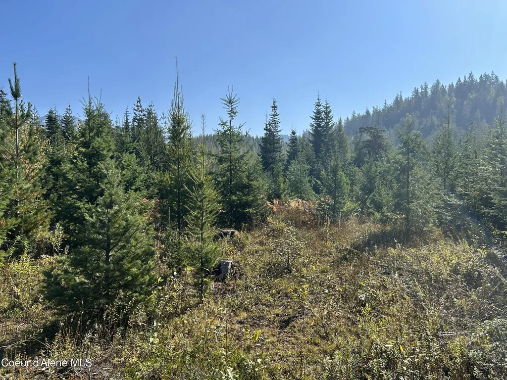 Tract 3 Usfs 2294 Clark Fork ID 83811