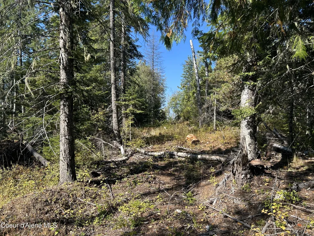 Tract 3 Usfs 2294 Clark Fork ID 83811