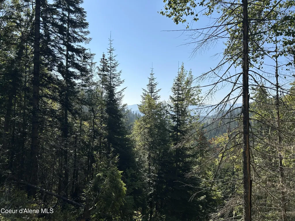 Tract 3 Usfs 2294 Clark Fork ID 83811
