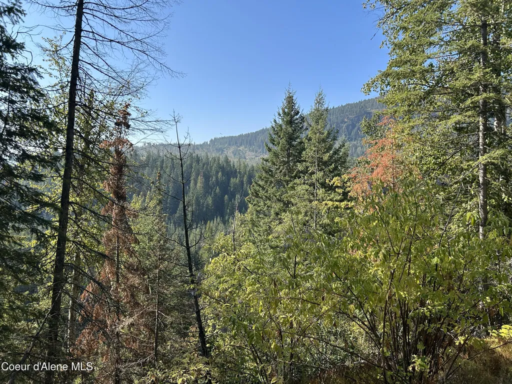 Tract 3 Usfs 2294 Clark Fork ID 83811