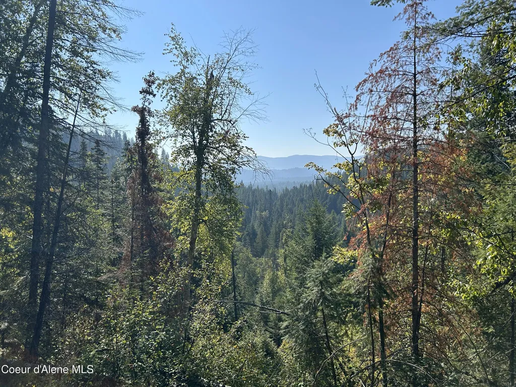 Tract 3 Usfs 2294 Clark Fork ID 83811